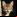 sotel's picture